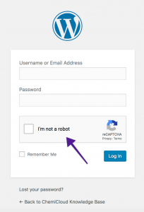 Google Captcha - WordPress Login