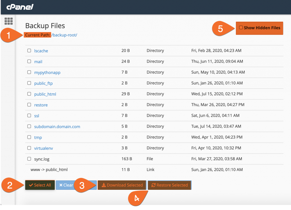 File Backups Options