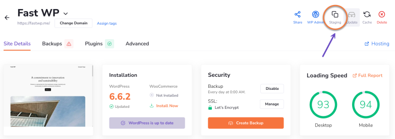 WordPress Staging